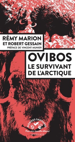 OVIBOS, de Rémy Marion | portada del libro
