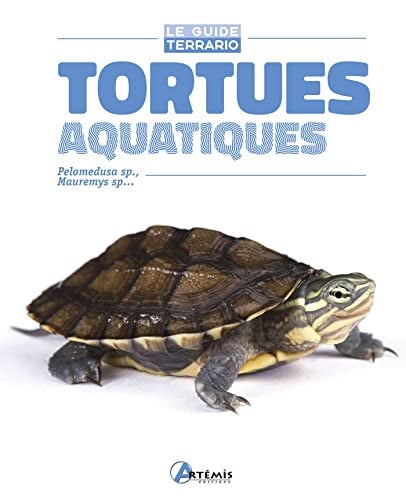 TORTUES AQUATIQUES, de KIRKPATRICK DAV | portada del libro