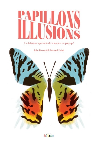 PAPILLONS ILLUSIONS, de Julie Brouant | portada del libro