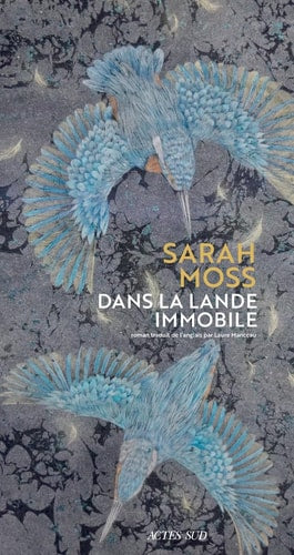 DANS LA LANDE IMMOBILE, de Sarah Moss | portada del libro