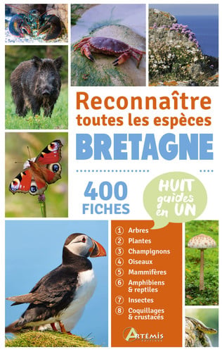 BRETAGNE RECONNAITRE TOUTES LES ESPECES, de COLLECTIF | portada del libro