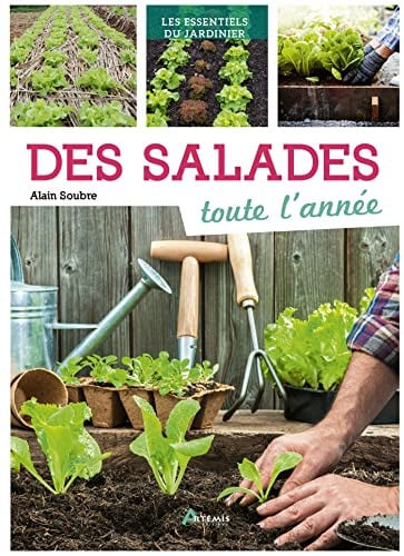 SALADES TOUTE L'ANNEE DES, de SOUBRE ALAIN | portada del libro