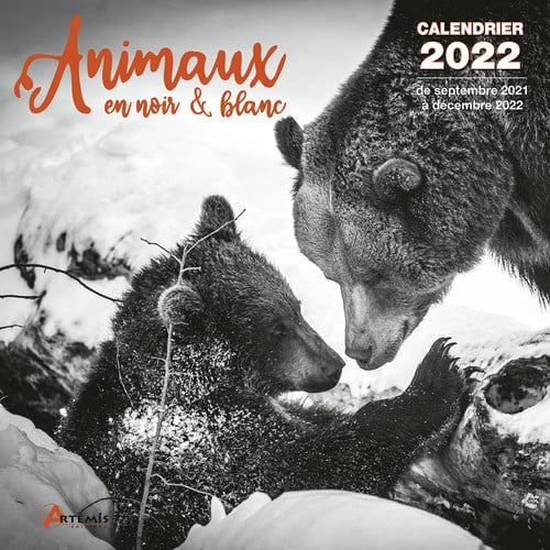 CALENDRIER ANIMAUX EN NOIR ET BLANC 2022, de COLLECTIF | portada del libro