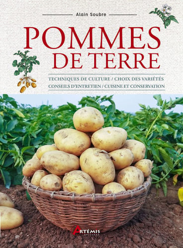 POMMES DE TERRE, de SOUBRE ALAIN | portada del libro