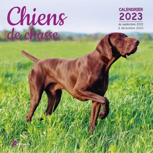 CALENDRIER CHIENS DE CHASSE 2023, de COLLECTIF | portada del libro