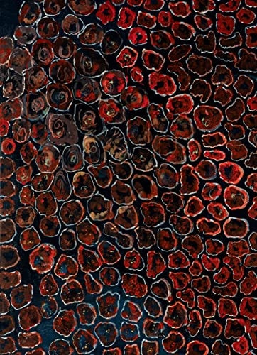 L'OEIL NU, de Moreu | portada del libro