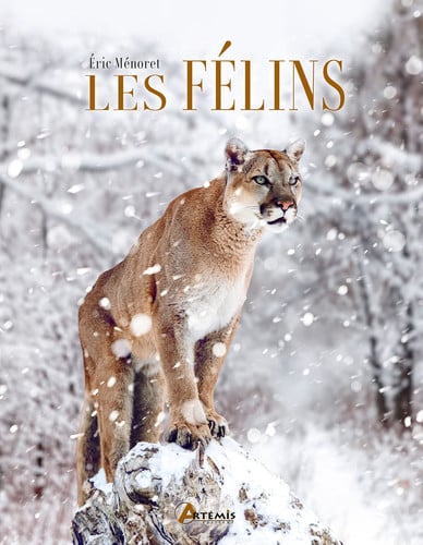 LES FELINS, de MENORET ERIC | portada del libro