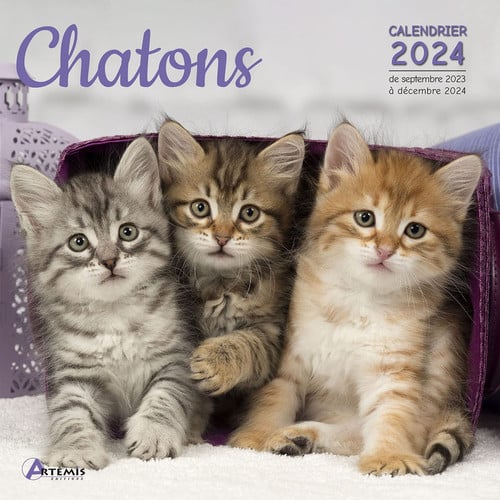 CALENDRIER CHATONS 2024, de COLLECTIF | portada del libro