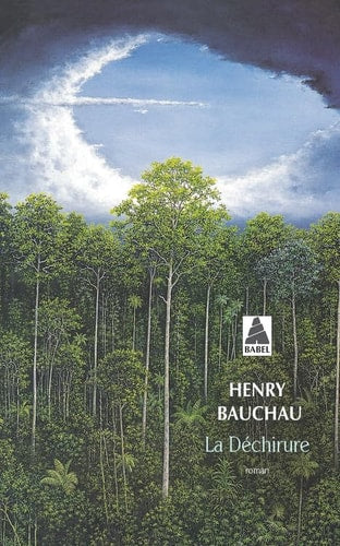 LA DECHIRURE, de Henry Bauchau | portada del libro