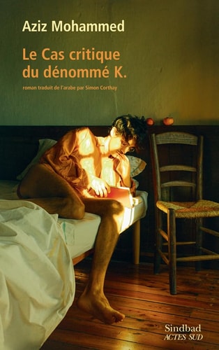 LE CAS CRITIQUE DU DENOMME K, de ʻAzīz Muḥammad | portada del libro