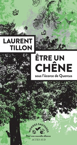 ÒTRE UN CHÒNE, de Laurent Tillon | portada del libro