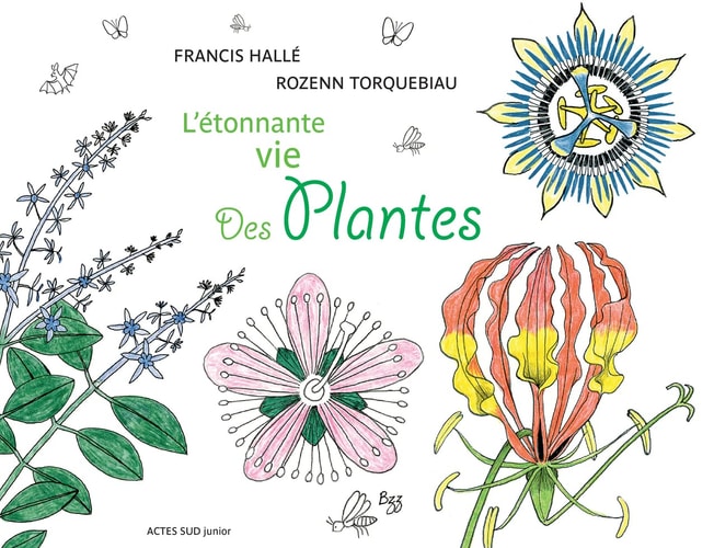 LETONNANTE VIE DES PLANTES, de Francis Hallé | portada del libro