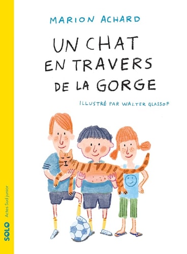 UN CHAT EN TRAVERS DE LA GORGE, de Marion Achard | portada del libro
