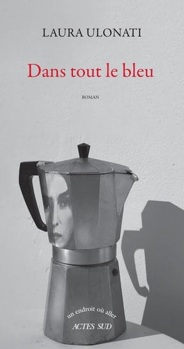 DANS TOUT LE BLEU, de Laura Ulonati | portada del libro