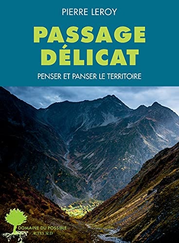 PASSAGE DELICAT, de Pierre Leroy | portada del libro