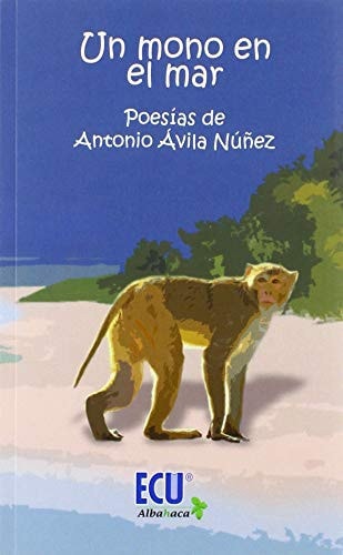Un mono en el mar, de Ávila Núñez | portada del libro