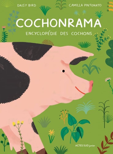 COCHONRAMA, de Daisy Bird | portada del libro