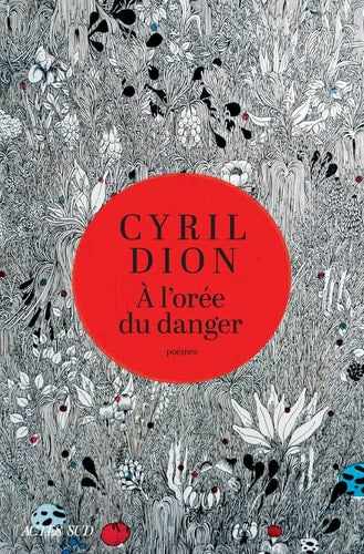 A LOREE DU DANGER, de Cyril Dion | portada del libro