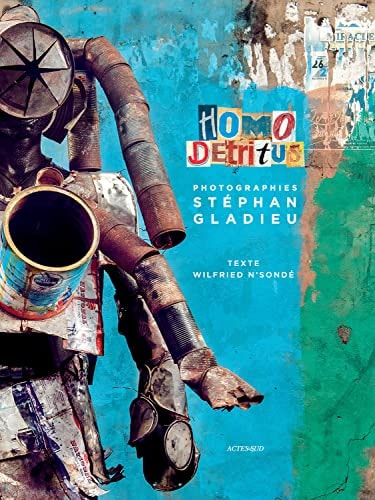 HOMO DETRITUS, de Wilfried N'Sondé | portada del libro