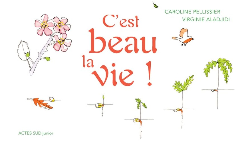 C'EST BEAU LA VIE, de Caroline Pellissier | portada del libro