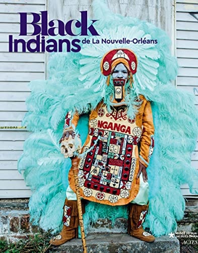 BLACK INDIANS, de Karen Celestan | portada del libro