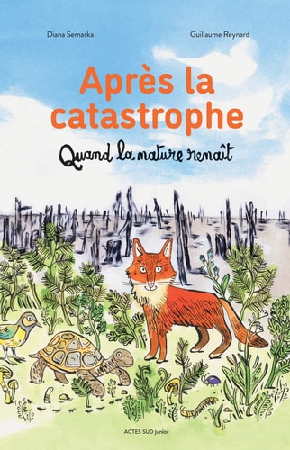APRES LA CATASTROPHE, de Diana Semaska | portada del libro