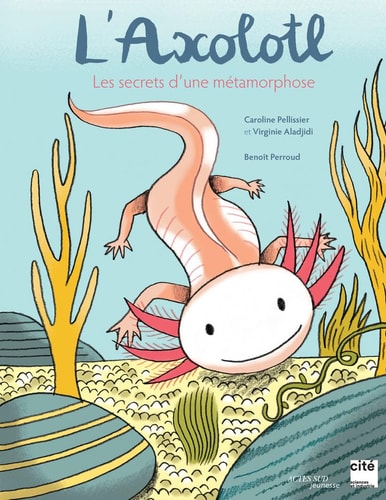 L'AXOLOTL, LES SECRETS D'UNE METAMORPHOSE, de Caroline Pellissier | portada del libro