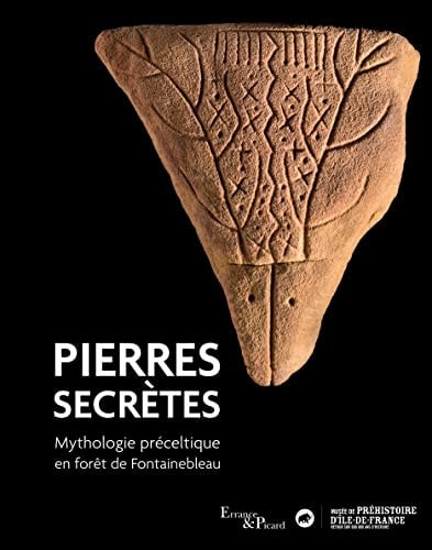PIERRES SECRETES, de Daniel Simonin | portada del libro