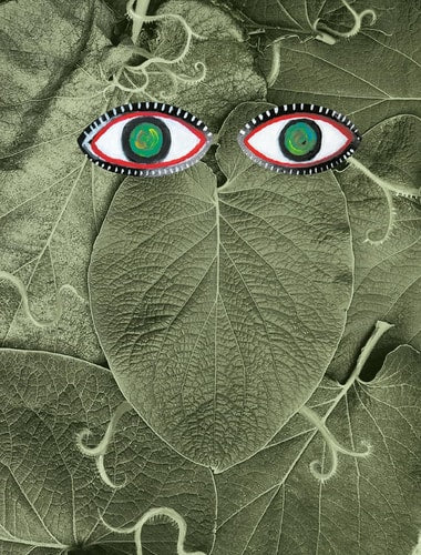 HOJA SANTA, de Maciejka Art | portada del libro