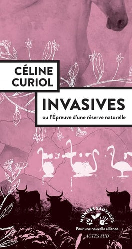 NVASIVES (ECB), de Céline Curiol | portada del libro