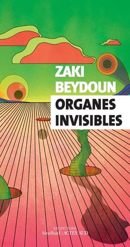 RGANES INVISIBLES (ECB), de Zaki Beydoun | portada del libro