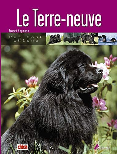 LE TERRE-NEUVE, de COLLECTIF | portada del libro