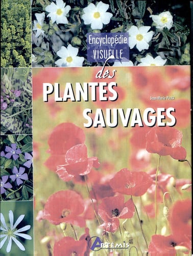 PLANTES SAUVAGES, de COLLECTIF | portada del libro