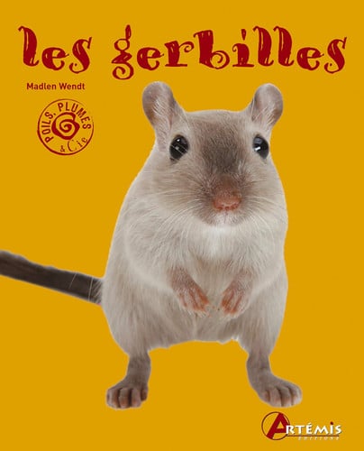 LES GERBILLES, de COLLECTIF | portada del libro