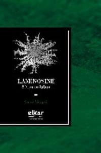 Laminosine. 80 ipuin labur, de Videgain | portada del libro
