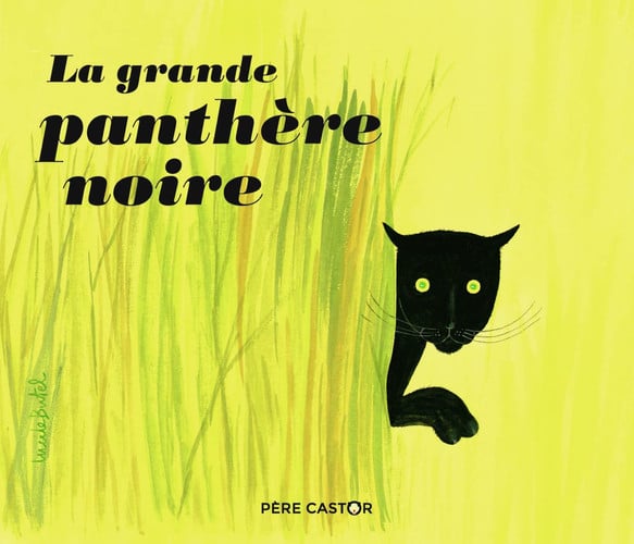 RANDE PANTHERE NOIRE, de BUTEL#FRANCOIS LUCILE#PAUL | portada del libro