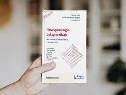 NEUROPSICOLOGIA DEL APRENDIZAJE APORTES DE LAS NEUROCIENCIA, de Victor Feld | portada del libro