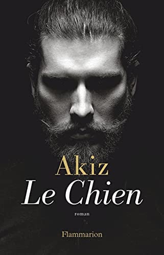 HIEN, de AKIZ | portada del libro