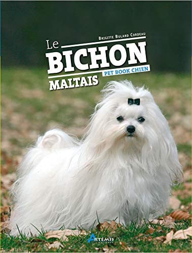 LE BICHON MALTAIS, de COLLECTIF | portada del libro