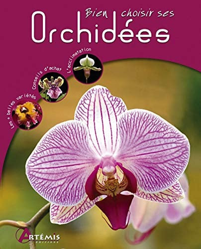 ORCHIDEES, de COLLECTIF | portada del libro