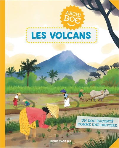RCHIDOC LES VOLCANS, de TREDEZ#RIEMANN EMMANUEL#MAUD | portada del libro