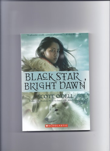 BLACK STAR BRIGHT DAWN, de Scott O'Dell | portada del libro