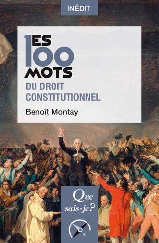 00 MOTS DU DROIT CONSTITUTIONNEL (LES), de Benoît Montay | portada del libro