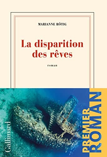 LA DISPARITION DES REVES, de Marianne Rötig | portada del libro