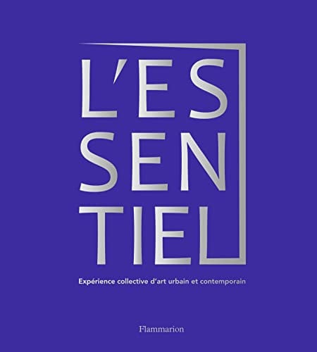 ESSENTIEL EXPERIENCE COLLE, de BESSE#HERSZKOWICZ ANTOINE#ELISE | portada del libro