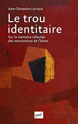 E TROU IDENTITAIRE, de Anne-Clémentine Larroque | portada del libro