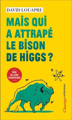 AIS QUI A ATTRAPE LE BISON DE, de LOUAPRE DAVID | portada del libro