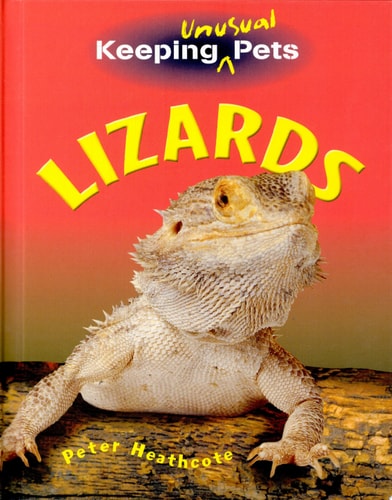 LIZARDS, de AA.VV. | portada del libro