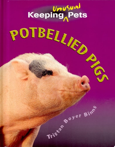 POT BELLIED PIGS, de AA.VV. | portada del libro