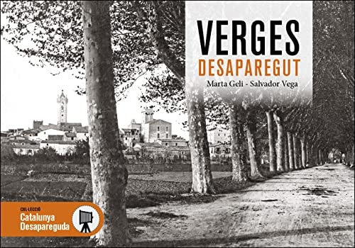 VERGES DESAPAREGUT, de VEGA FERRER | portada del libro
